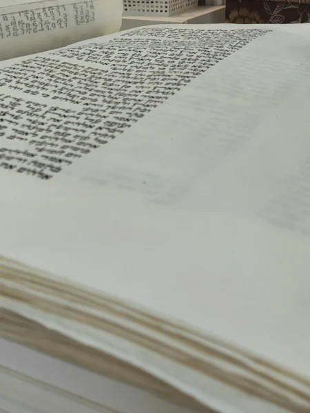 מגילות אסתר מהודרות